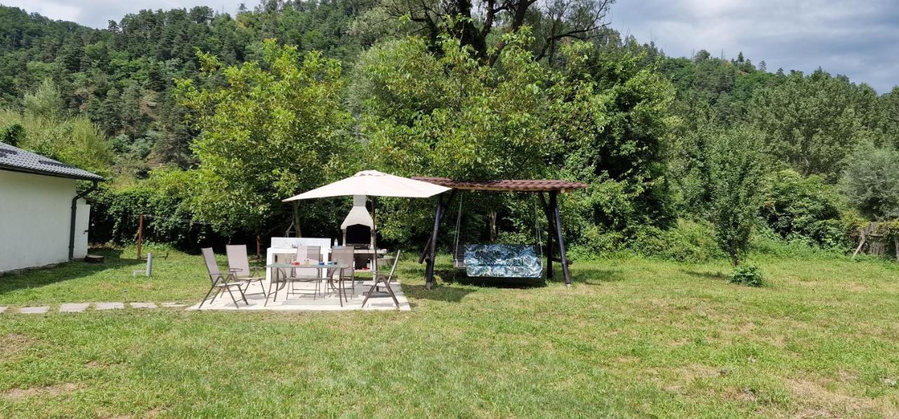 Green Nest Brezoi Exterior photo