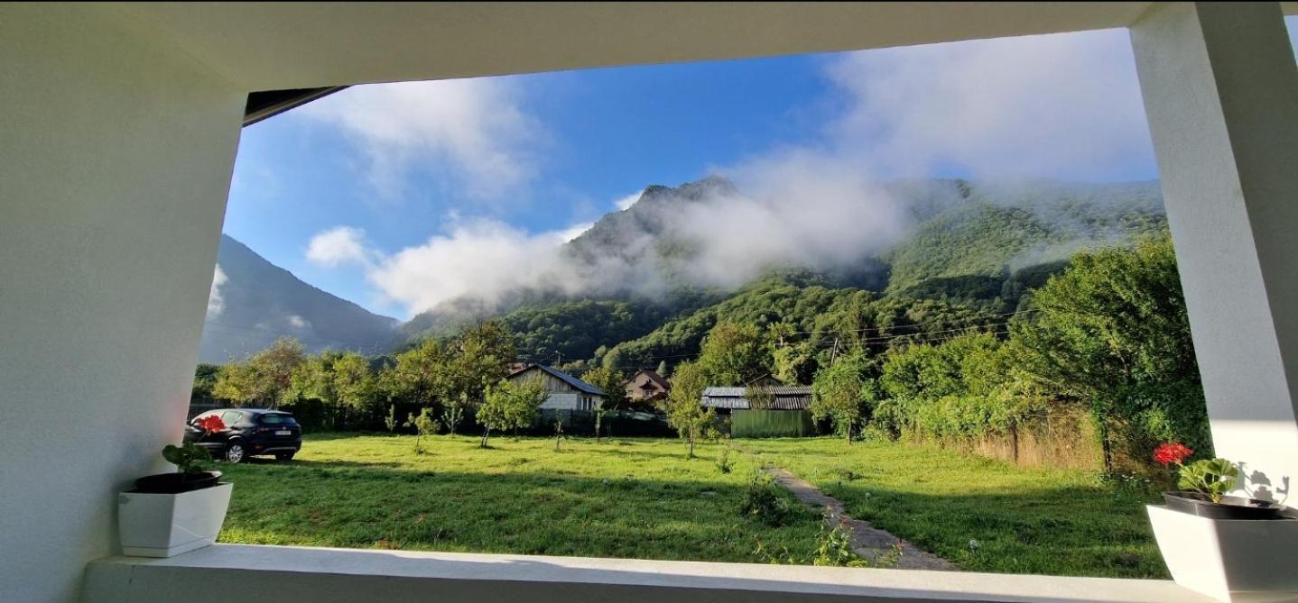 Green Nest Brezoi Exterior photo